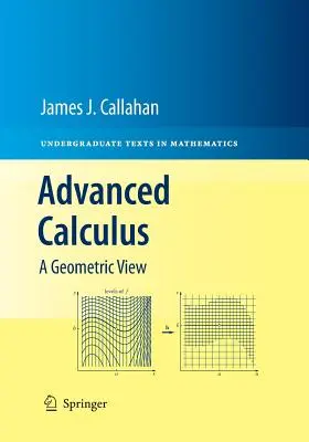 Calcul avansat: O viziune geometrică - Advanced Calculus: A Geometric View