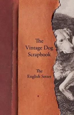 Scrapbook-ul câinelui de epocă - Setterul englez - The Vintage Dog Scrapbook - The English Setter