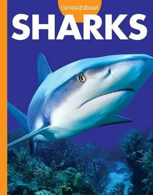 Curioși despre rechini - Curious about Sharks