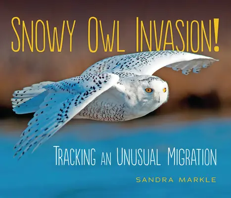 Invazia bufniței de zăpadă!: Urmărirea unei migrații neobișnuite - Snowy Owl Invasion!: Tracking an Unusual Migration