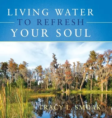Apă vie pentru a-ți împrospăta sufletul - Living Water to Refresh Your Soul