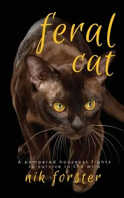 Pisica sălbatică - Feral Cat
