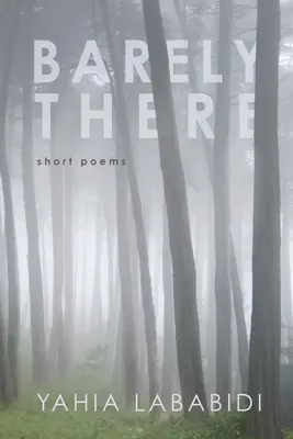 Abia acolo - Barely There