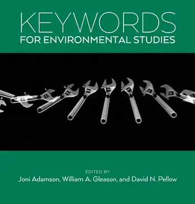 Cuvinte-cheie pentru studii de mediu - Keywords for Environmental Studies