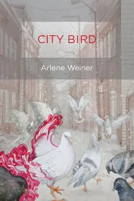 Pasăre de oraș - City Bird