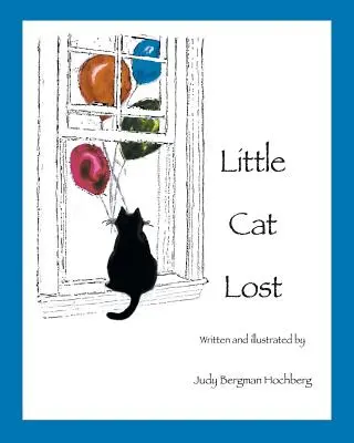 Pisicuța pierdută - Little Cat Lost