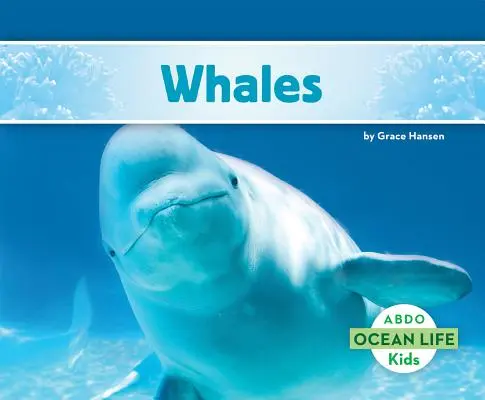 Balene - Whales
