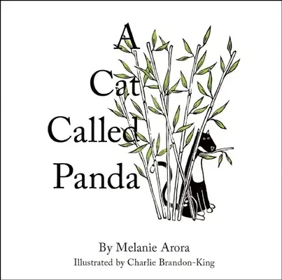 O pisică numită Panda - A Cat Called Panda