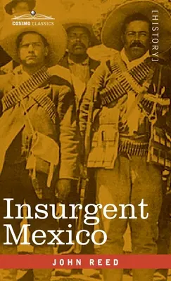 Mexic insurgent - Insurgent Mexico