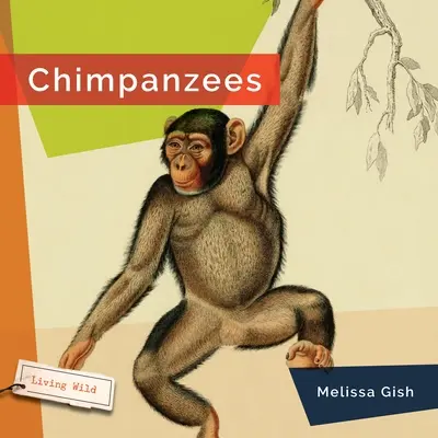 Cimpanzei - Chimpanzees