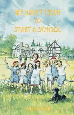 Nu am vrut să înființăm o școală - We Didn't Mean to Start A School