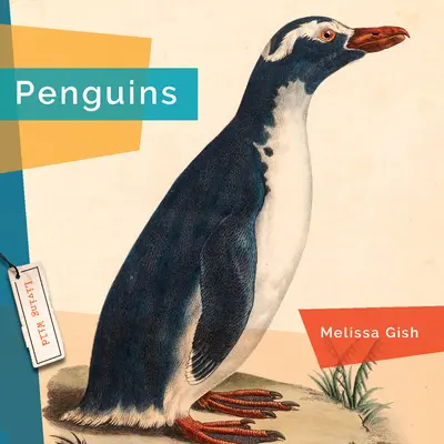 Pinguinii - Penguins