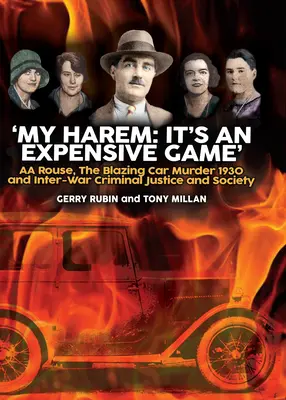 Haremul meu: Este un joc costisitor - My Harem: It's an Expensive Game