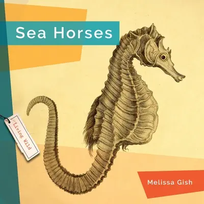 Căluți de mare - Seahorses