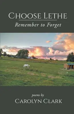 Alege Lethe: Amintește-ți să uiți - Choose Lethe: Remember to Forget