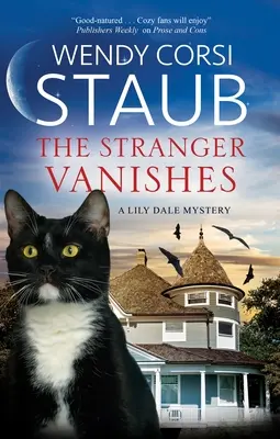 Străinul dispare - The Stranger Vanishes