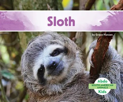 Leneș - Sloth