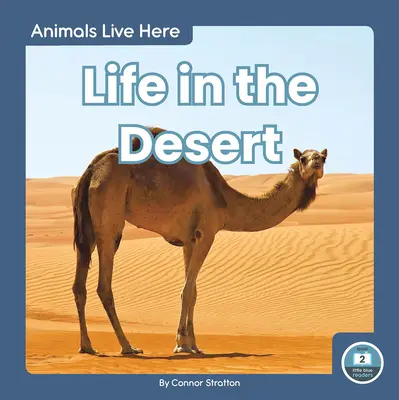 Viața în deșert - Life in the Desert