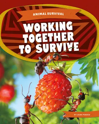 Lucrăm împreună pentru a supraviețui - Working Together to Survive