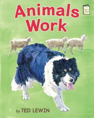 Animalele lucrează - Animals Work