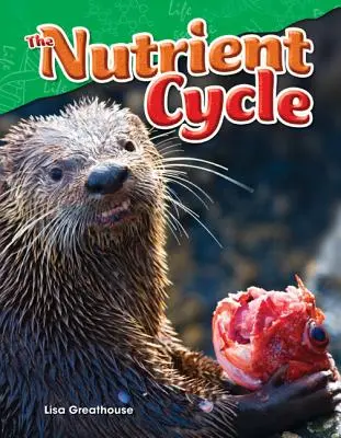 Ciclul nutrienților - The Nutrient Cycle