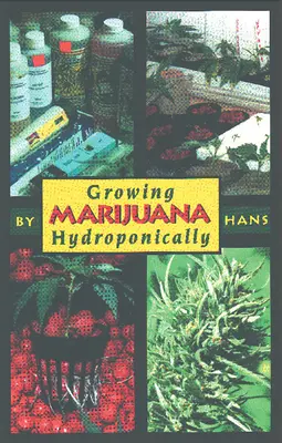 Cultivarea hidroponică a marijuanei - Growing Marijuana Hydroponically