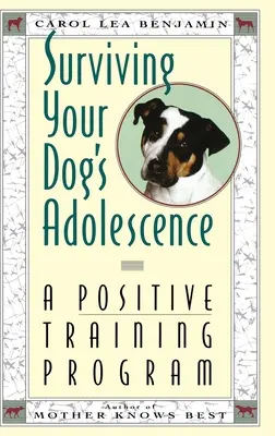 Supraviețuirea adolescenței câinelui dumneavoastră: Un program de dresaj pozitiv - Surviving Your Dog's Adolescence: A Positive Training Program