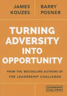 Transformarea adversității în oportunitate (Turning Adversity Into Opportunity) - Turning Adversity Into Opportunity