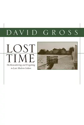 Timpul pierdut: Despre amintire și uitare în cultura modernă târzie - Lost Time: On Remembering and Forgetting in Late Modern Culture