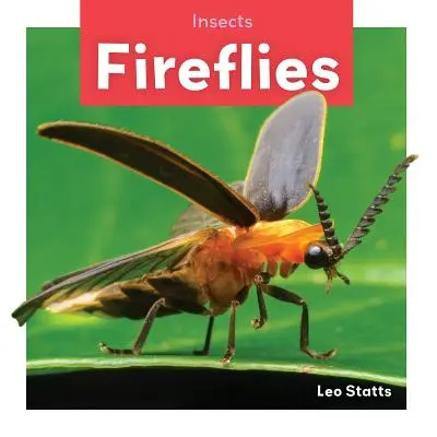 Licurici - Fireflies