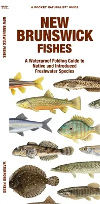 Pești din New Brunswick: A Waterproof Folding Guide to Native and Introduced Freshwater Species - New Brunswick Fishes: A Waterproof Folding Guide to Native and Introduced Freshwater Species