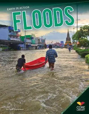 Inundații - Floods