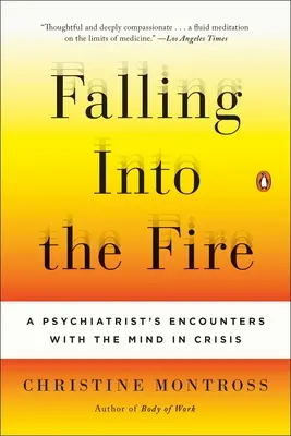 Falling Into the Fire: Întâlnirile unui psihiatru cu mintea în criză - Falling Into the Fire: A Psychiatrist's Encounters with the Mind in Crisis