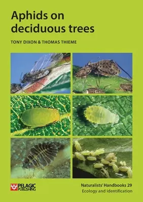 Afide pe arborii de foioase - Aphids on deciduous trees
