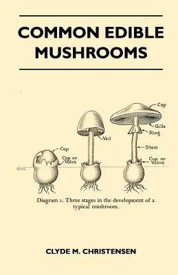 Ciuperci comestibile comune - Common Edible Mushrooms