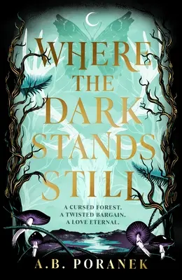 Unde întunericul stă pe loc - Where the Dark Stands Still