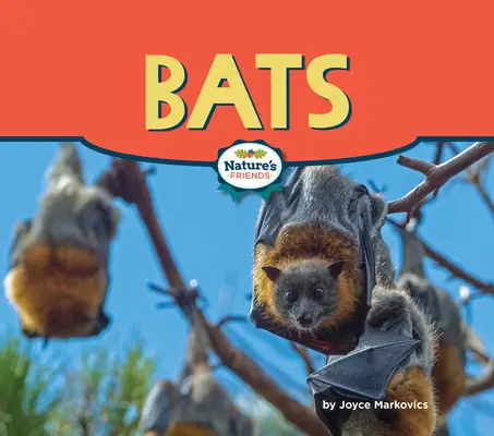Lilieci - Bats