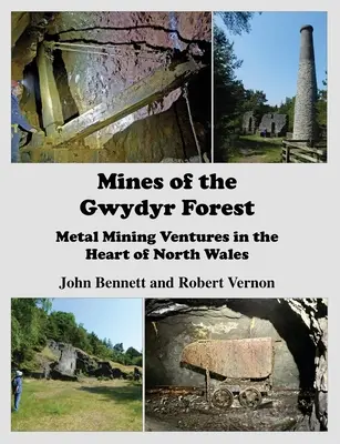 Minele din pădurea Gwydyr: Exploatări miniere de metale în inima Țării Galilor de Nord - Mines of the Gwydyr Forest: Metal Mining Ventures in the Heart of North Wales
