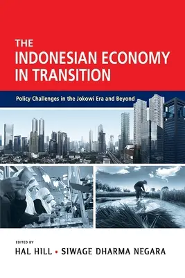 Economia indoneziană în tranziție: Provocări politice în era Jokowi și dincolo de aceasta - The Indonesian Economy in Transition: Policy Challenges in the Jokowi Era and Beyond