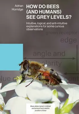 Cum văd albinele (și oamenii) nivelurile gri?: Explicații intuitive, logice și anti-intuitive pentru unele observații curioase - How Do Bees (and Humans) See Grey Levels?: Intuitive, logical, and anti-intuitive explanations for some curious observations