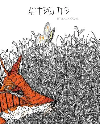 vieții de apoi - Afterlife