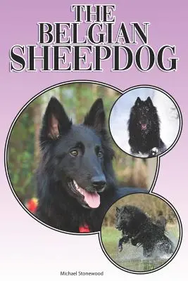 Ciobănescul belgian: A Complete and Comprehensive Beginners Guide To: Cumpărarea, Deținerea, Sănătatea, Îngrijirea, Dresajul, Obediența, Înțelegerea - The Belgian Sheepdog: A Complete and Comprehensive Beginners Guide To: Buying, Owning, Health, Grooming, Training, Obedience, Understanding