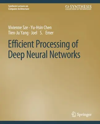 Procesarea eficientă a rețelelor neuronale profunde - Efficient Processing of Deep Neural Networks