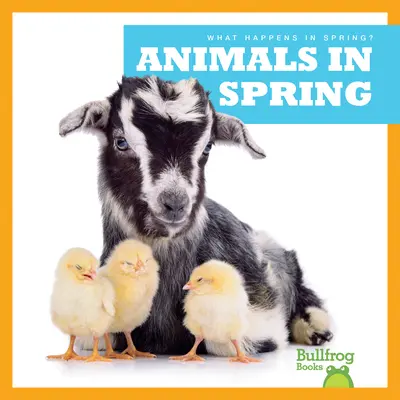 Animale în primăvară - Animals in Spring