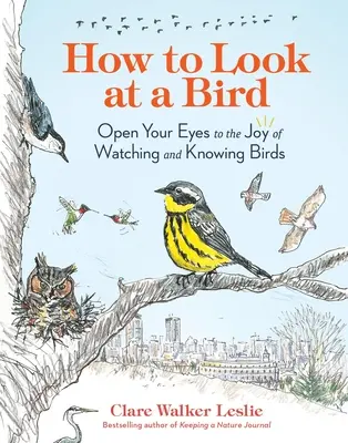 Cum să te uiți la o pasăre: Deschide-ți ochii spre bucuria de a privi și cunoaște păsările - How to Look at a Bird: Open Your Eyes to the Joy of Watching and Knowing Birds