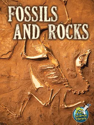 Fosile și roci - Fossils and Rocks