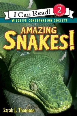 Șerpi uimitori! - Amazing Snakes!