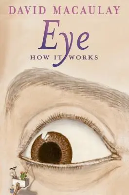 Ochi: Cum funcționează - Eye: How It Works