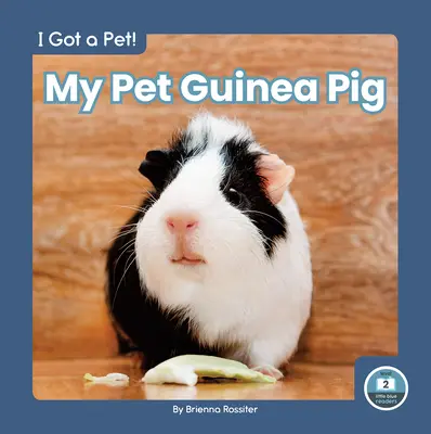 Porcușorul meu de Guineea - My Pet Guinea Pig