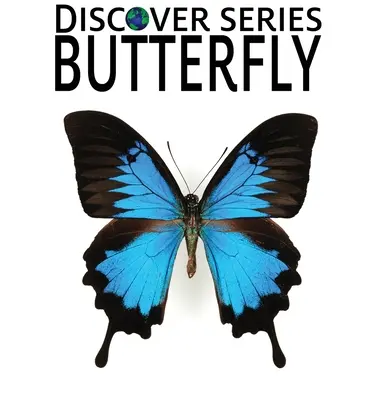 Fluturi - Butterfly